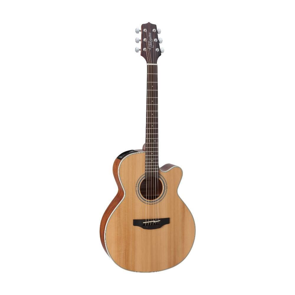 Takamine G20 Acoustic Guitar Pickup